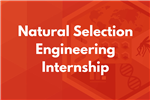 Natural Selection Engineering Internship Order Form 